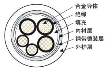 钢带铠装合金电缆