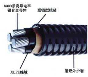 联锁铠装非金属护套合金电缆